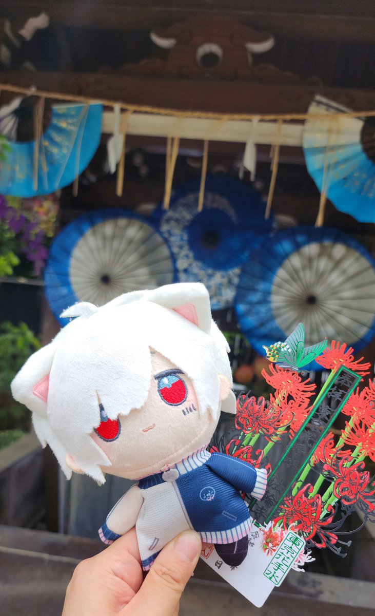 はなまる。︎💙🤍AtR春🌸 tweet media