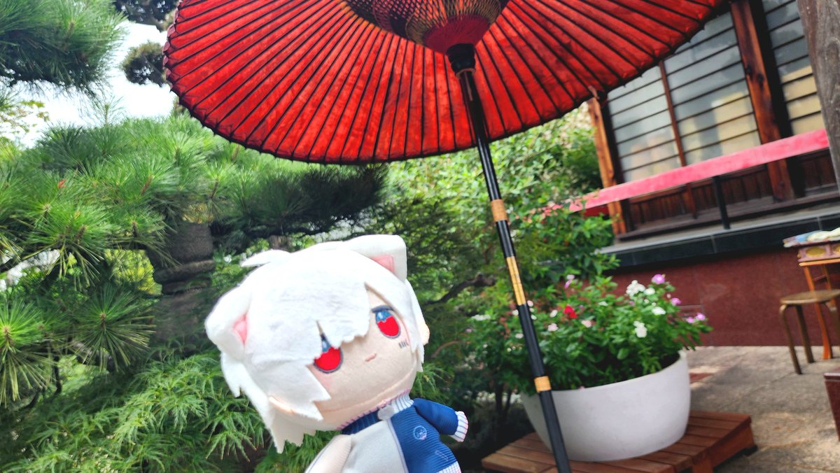はなまる。︎💙🤍AtR春🌸 tweet media