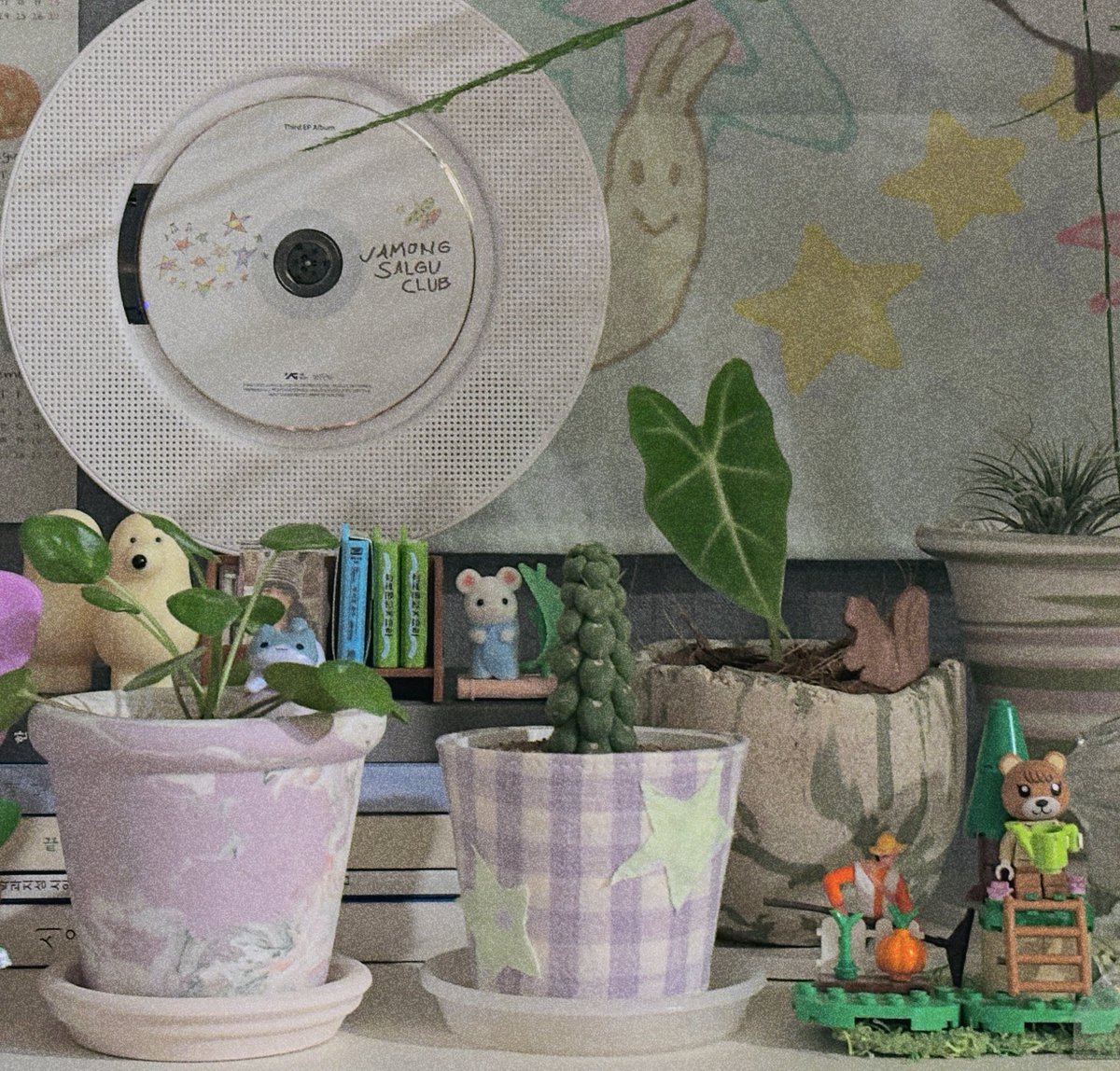 왕 신기하게 생긴 선인장 데려오자마자
팟커버 만들어줬어요😍💗
플분 넘 몬생겨서요ㅜㅜ