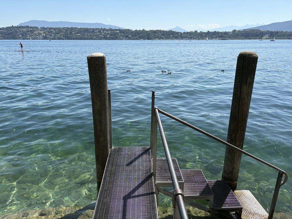 GmurHelen's tweet photo. #Geneva #LacLeman #Switzerland 🇨🇭#Flowers #Roses #JetdEau
The #holidays start here.
Stunning #day in Geneva again. ☀️
Be #outside #Breathe #Enjoy . https://t.co/i3yCIsIcDf