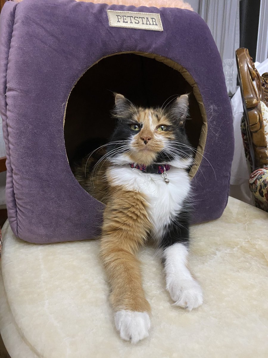 Hala aynı boyutta ama bu da glow up’tır🫠💖