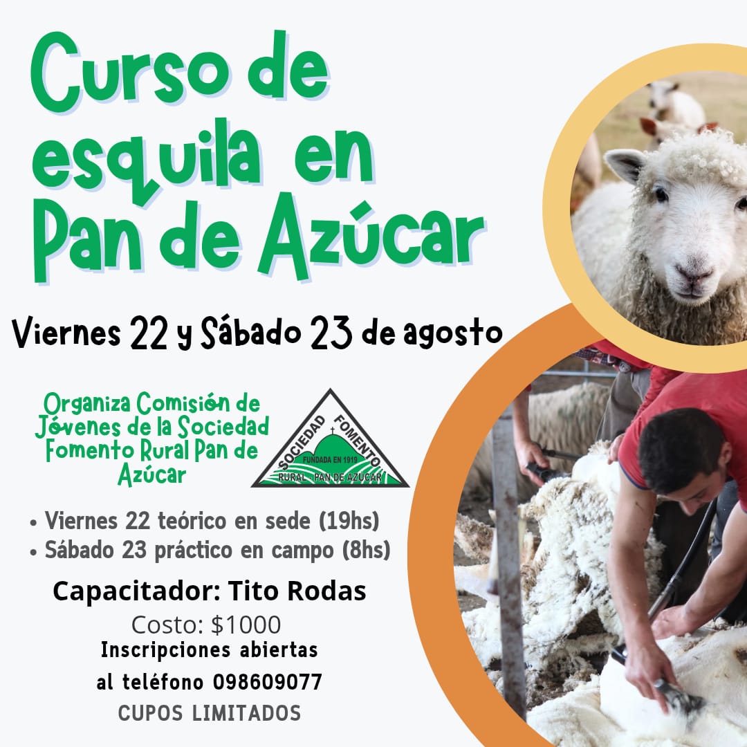Sociedad Fomento Rural Pan de Azúcar (@sfrpdazucar) on Twitter photo 