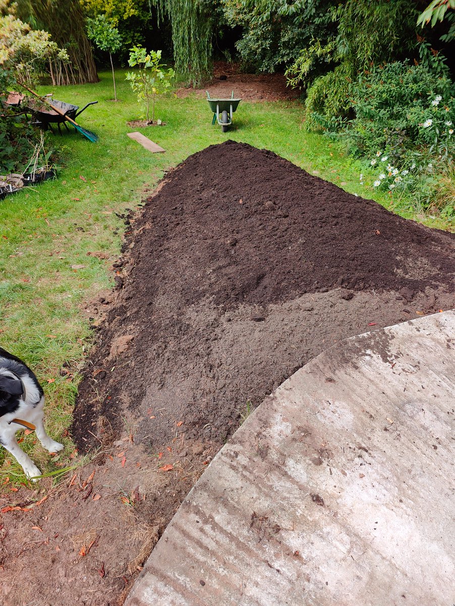 Made a giant hugelkultur