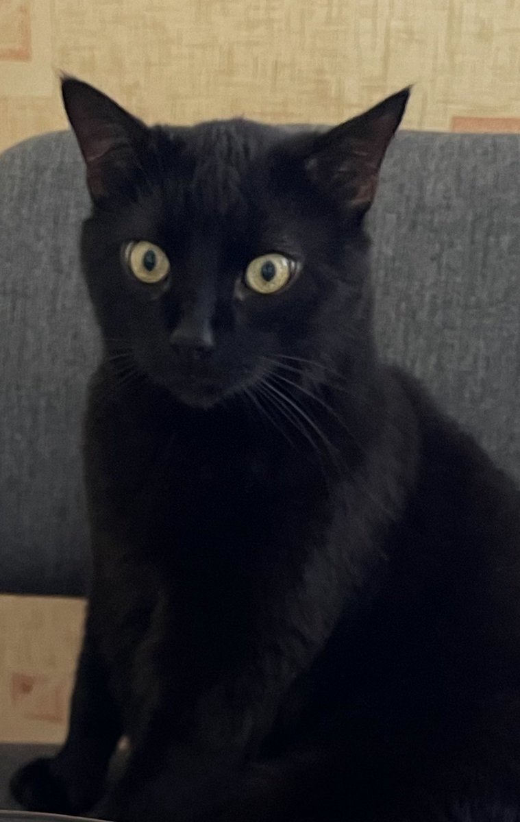 Почекай, тобто ти це не мені приготувала?

🚬🚬🚬