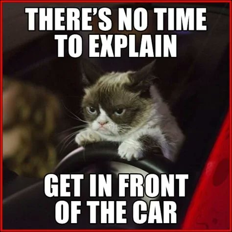 MikeBinStarter's tweet image. #ShieldArmy