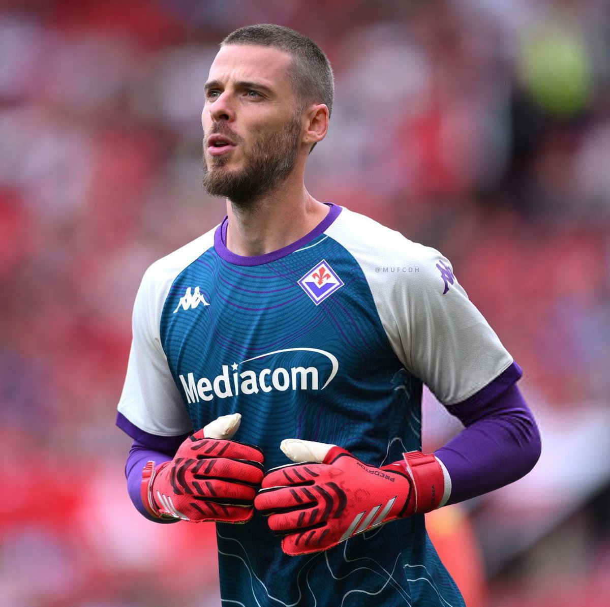 simonchimo's tweet image. Welcome home Dave ❤️