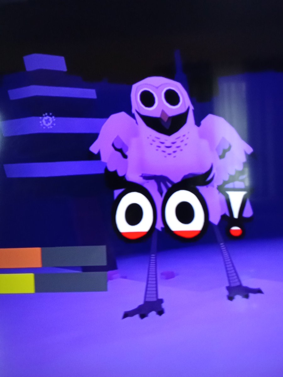 ZÉ SVILHOS tweet media