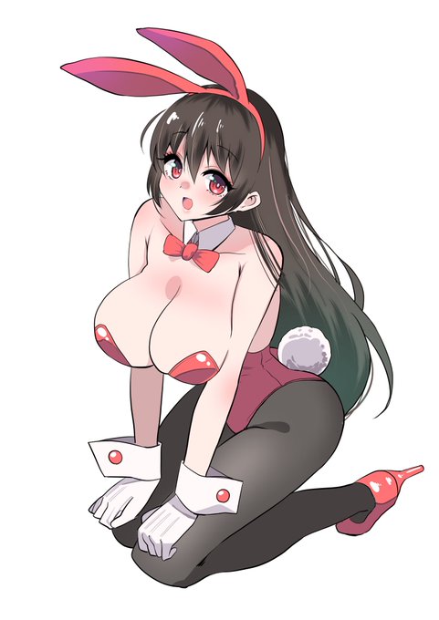 まだバニーの日 