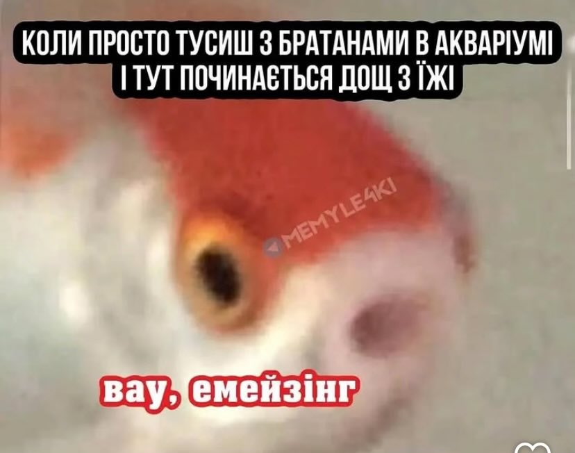 ми з хлопцями в бліндажі, коли підлітає вампір з посилкою