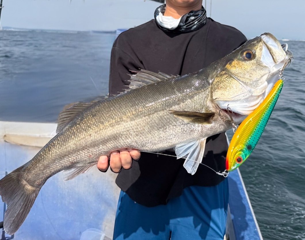 今この場所で、この瞬間🔥
夏ゴースト
夏メガドッグ
夏バンディッド
#夏シーバス