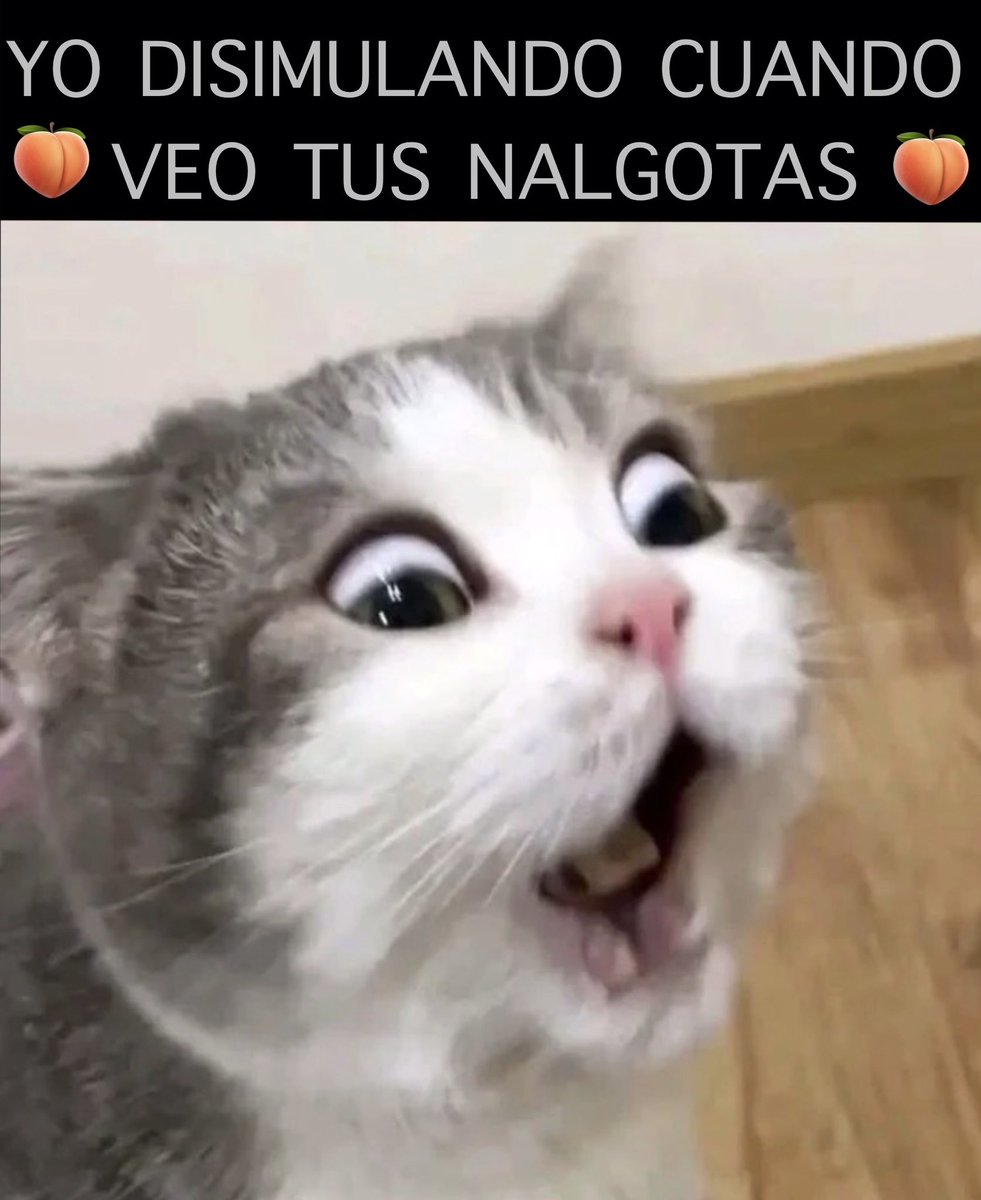 memecuac's tweet photo. …🙄 https://t.co/W7fo15DnIa