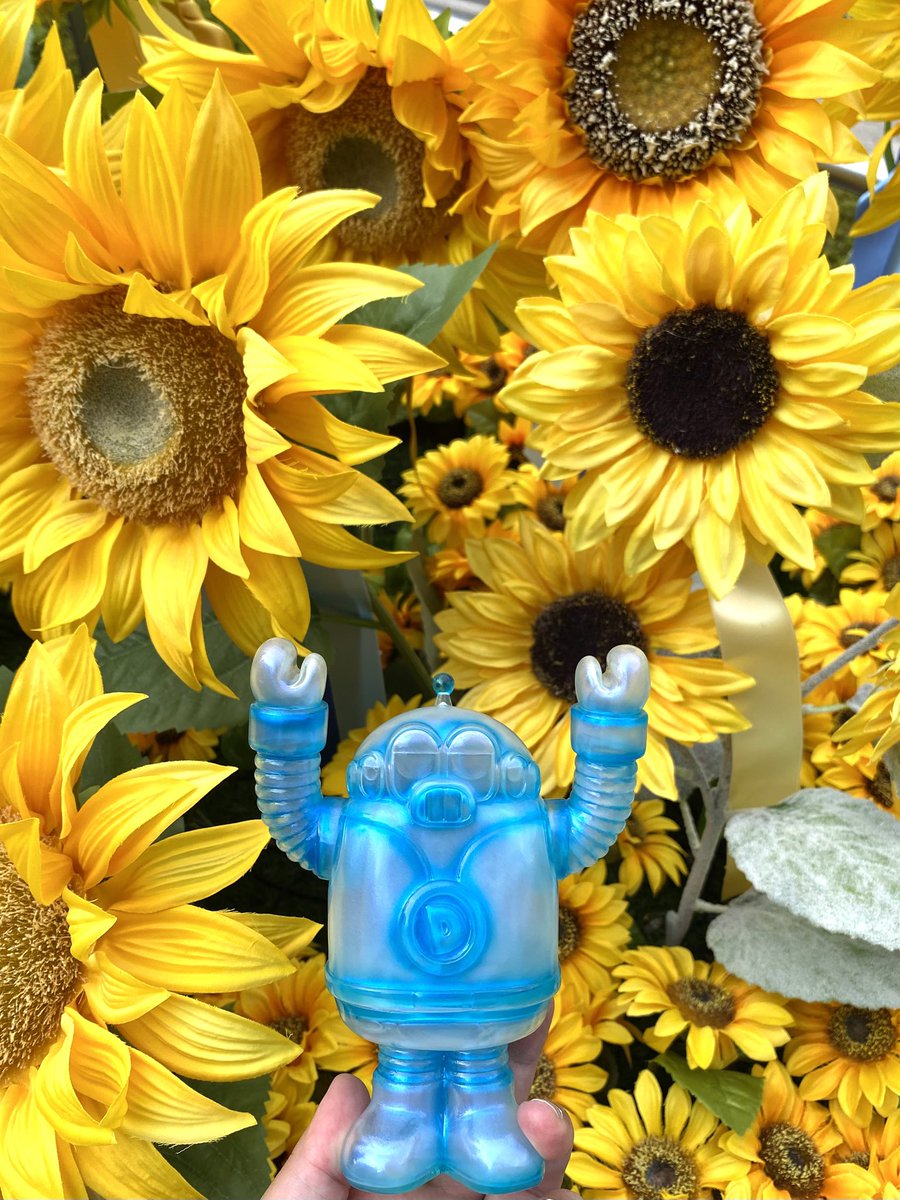 夏ですね〜🌻🌻🌻

#ディクターと一緒2025