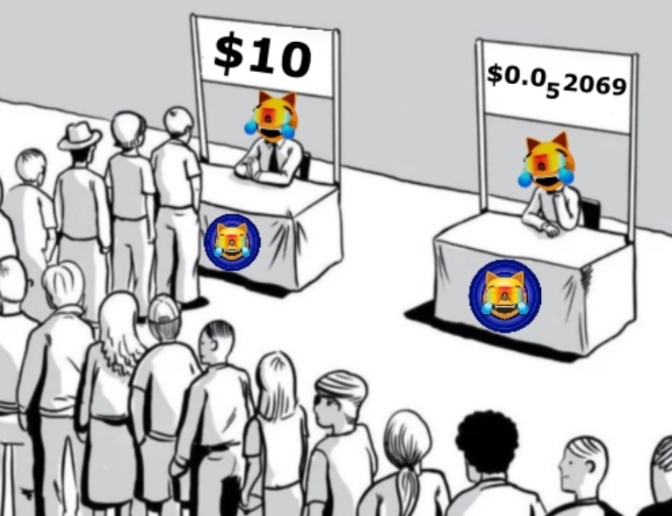 Choose wisely ✨️💫

$MOG 🫵😹
