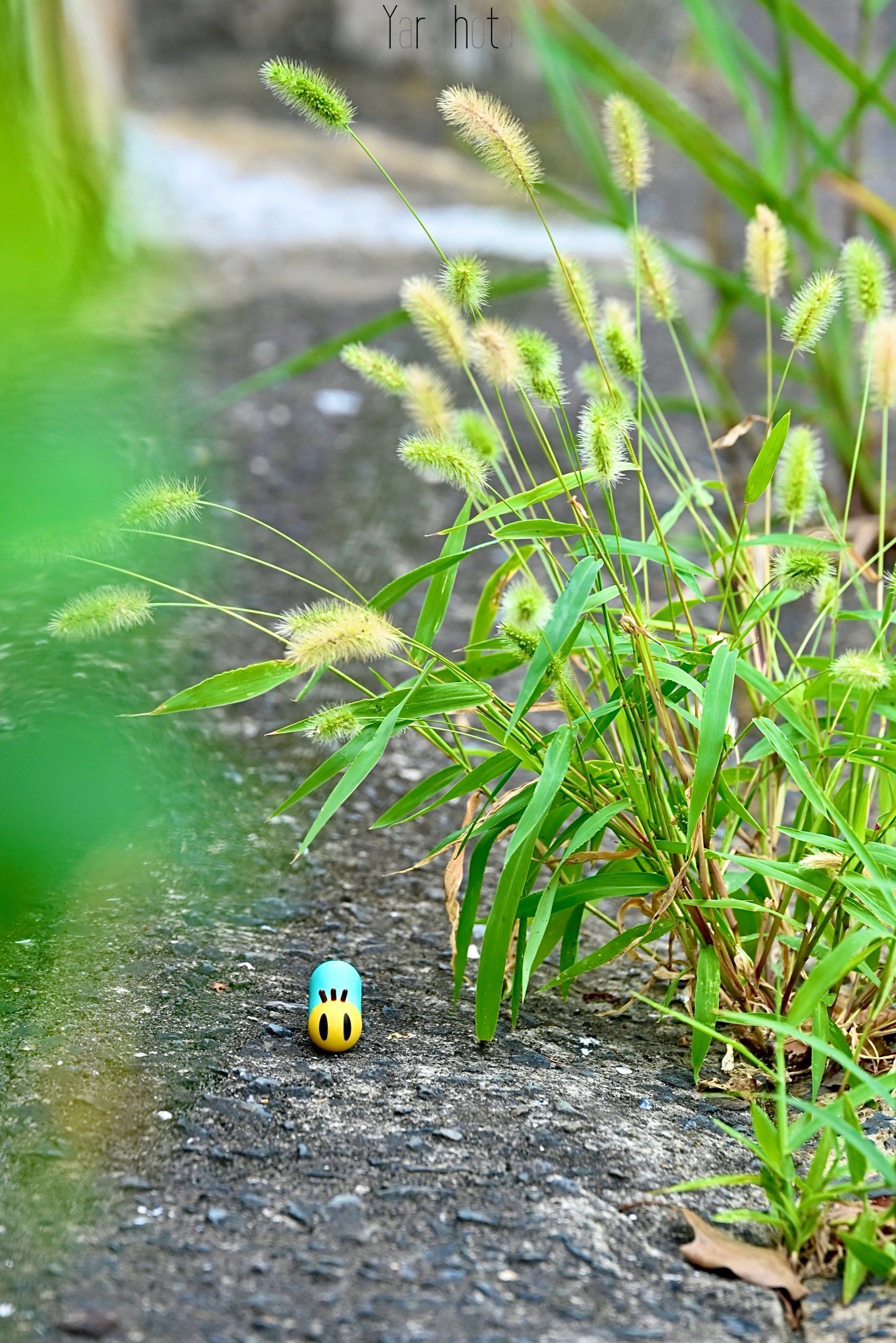 ニャッキ！様 ACRO - ACRO added a new photo.