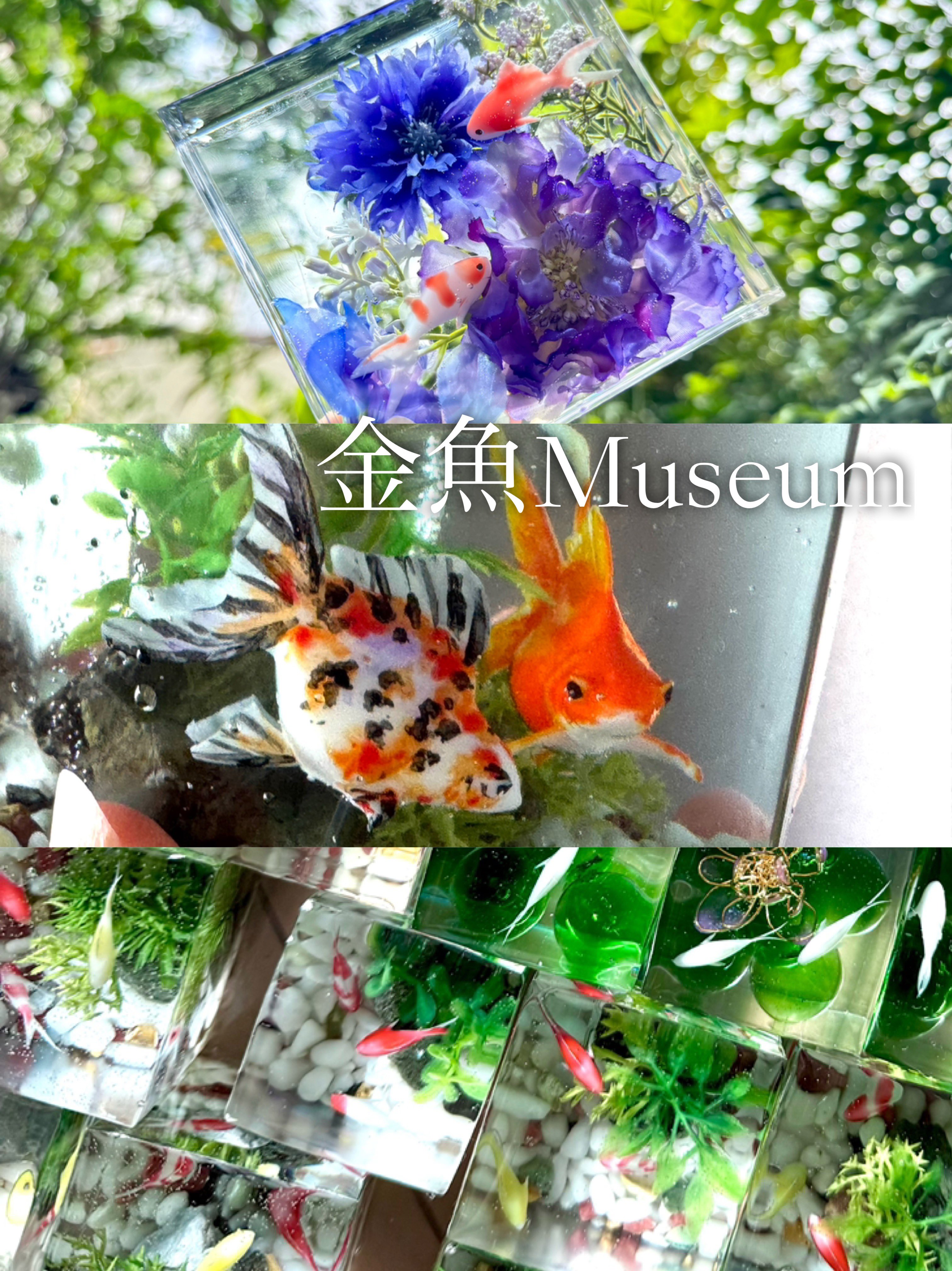 ★リアル金魚★芸術作品★桐箱二重★日本製　現代アート 金魚 絵画 琉金 和風 インテリア コレクション プレゼント 日本