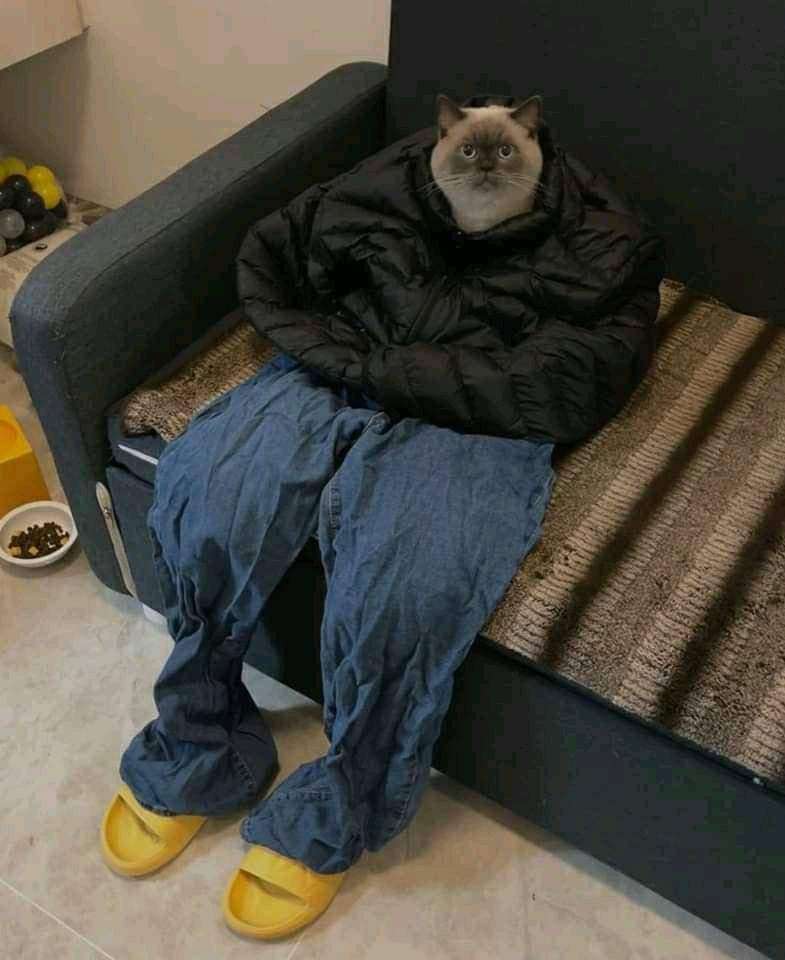 Otherwise tweet media