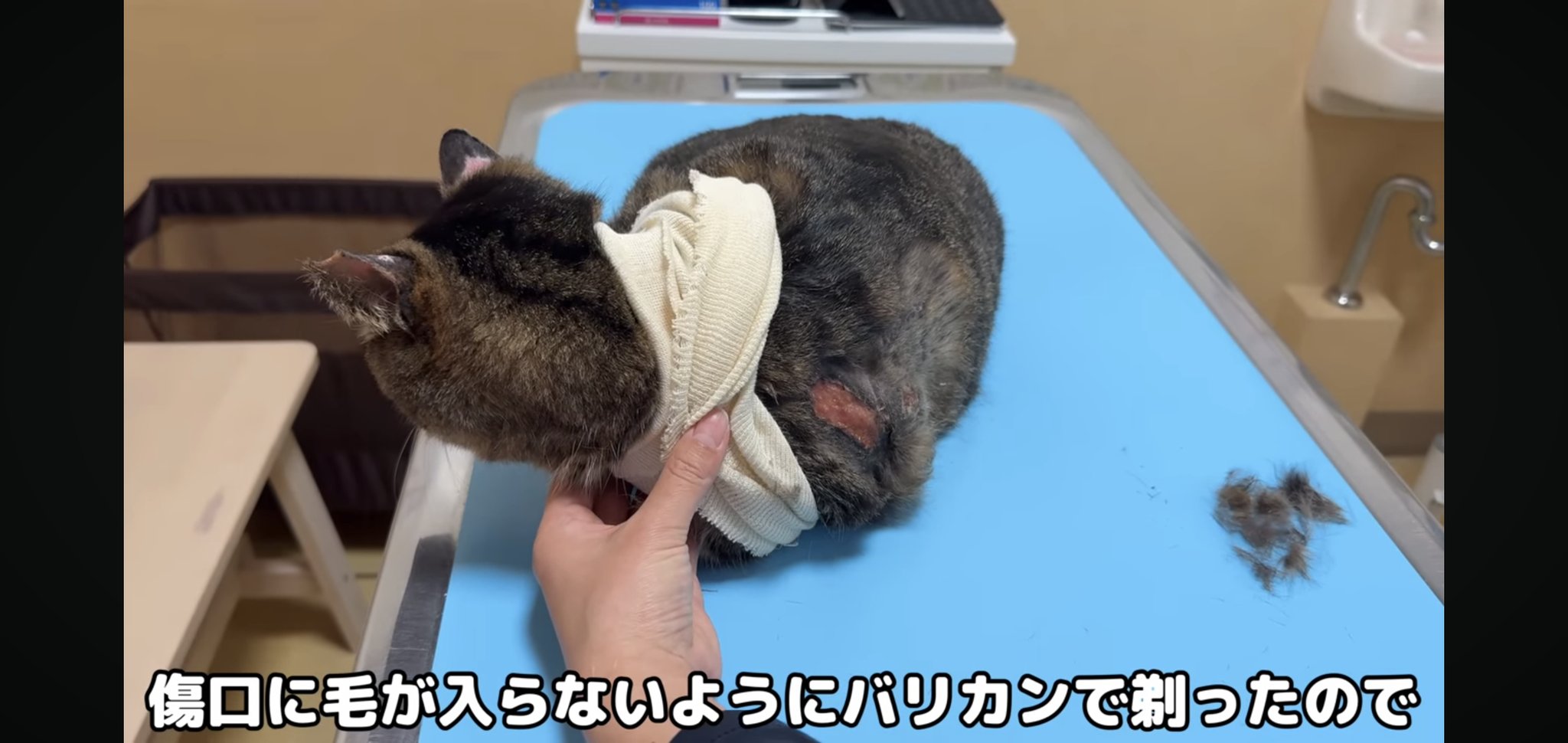 もちさまお取り置きのお品です もっちりお狐様🦊⛩️ 𖤣𖥧𖥣┈┈┈┈┈┈┈┈┈┈┈┈𖡡𖥧𖤣