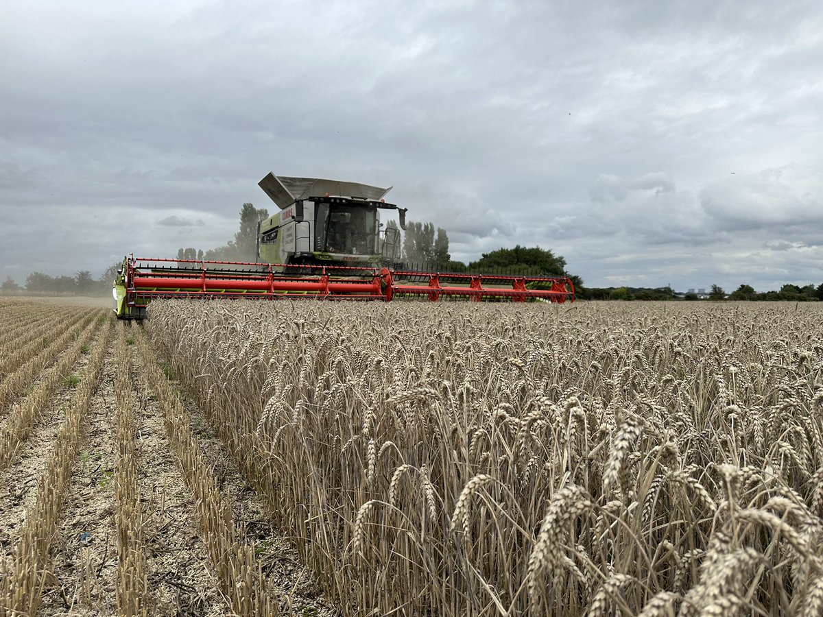 "The farmer is the only man in our economy who buys everything at retail, sells everything at wholesale, and pays the freight both ways."
John F. Kennedy