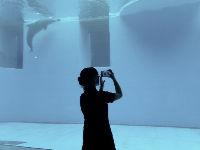 _lO701_'s tweet photo. 魚おいしそうだった https://t.co/5gSMWFjbbS