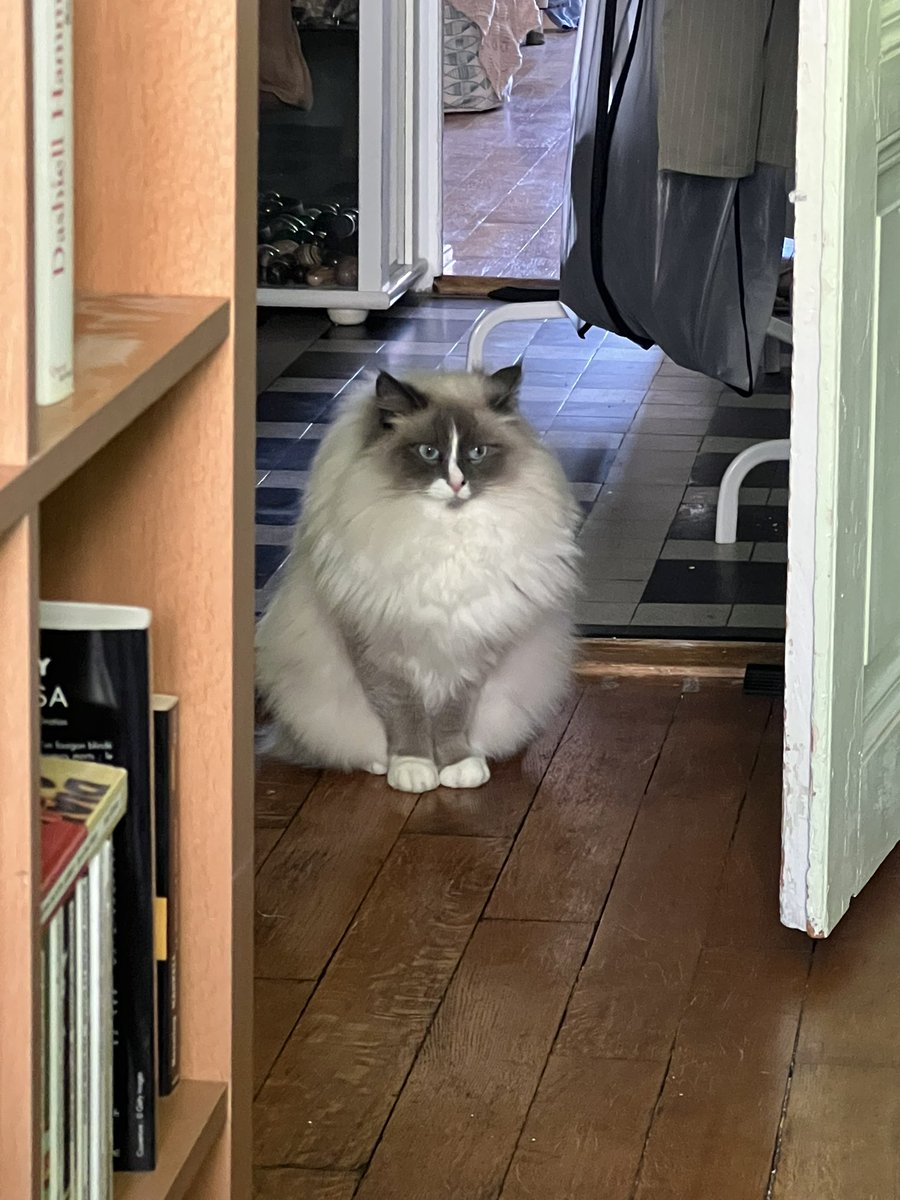 Bonjour petit cône de circulation.