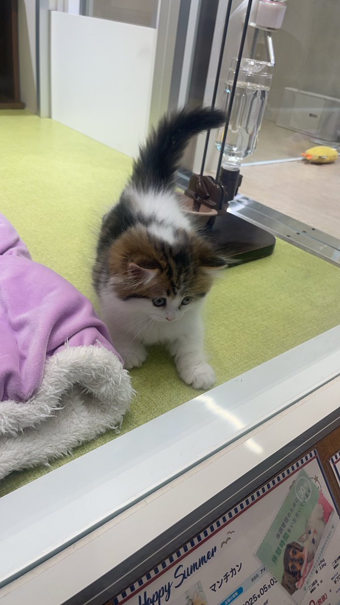 たけし (@Takeshi36S) / Posts / X