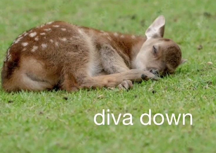 menteality's tweet image. I miss him but i don't miss him