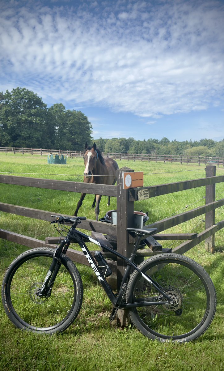 Relax 🚴‍♂️🚴‍♀️