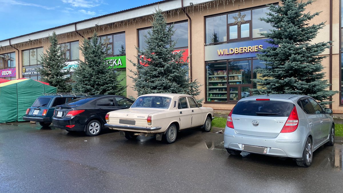 Wat een mooi beestje kwam ik net weer tegen, een Wolga!