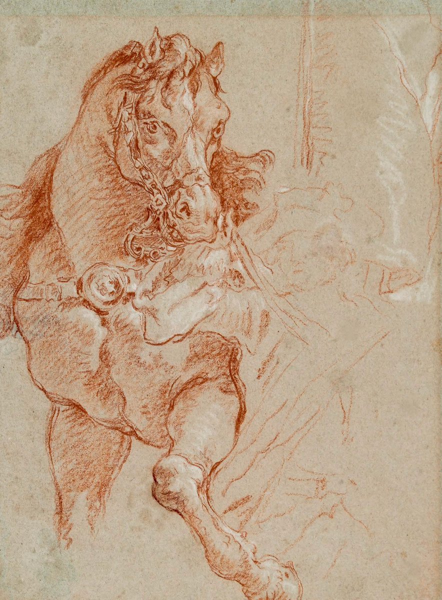 ArtAddictGall's tweet image. Giambattista Tiepolo, Study of a horse for the ‘Europa’ fresco at the Würzburg Residence,
red-brown crayon with withe heightening. 1751 - 1753.

#tieolo #art #drawing #artaddictgalleria