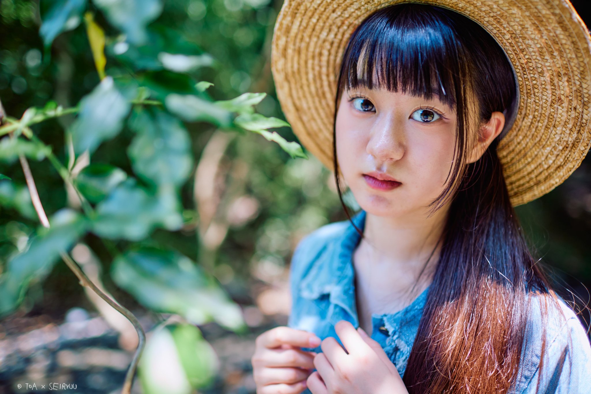 ヴァイス Self-Portrait 春雨麗女 PR+ PR 2枚セット Self-Portrait 春雨麗女 PR+ ヴァイスシュヴァルツ あおぎり高校