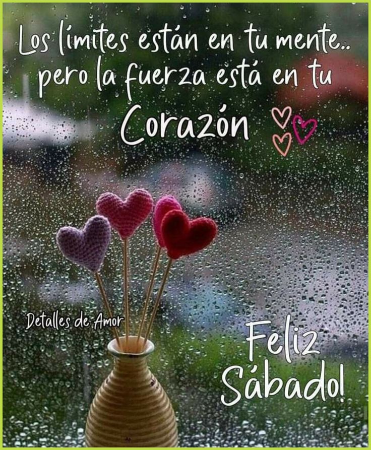 BorgesKat's tweet image. Tómate hoy un respiro para sentir, agradecer y disfrutar lo que ya tienes, sin prisas.
Porque a veces, lo más productivo que puedes hacer… es simplemente vivir. 🌿✨ ☕