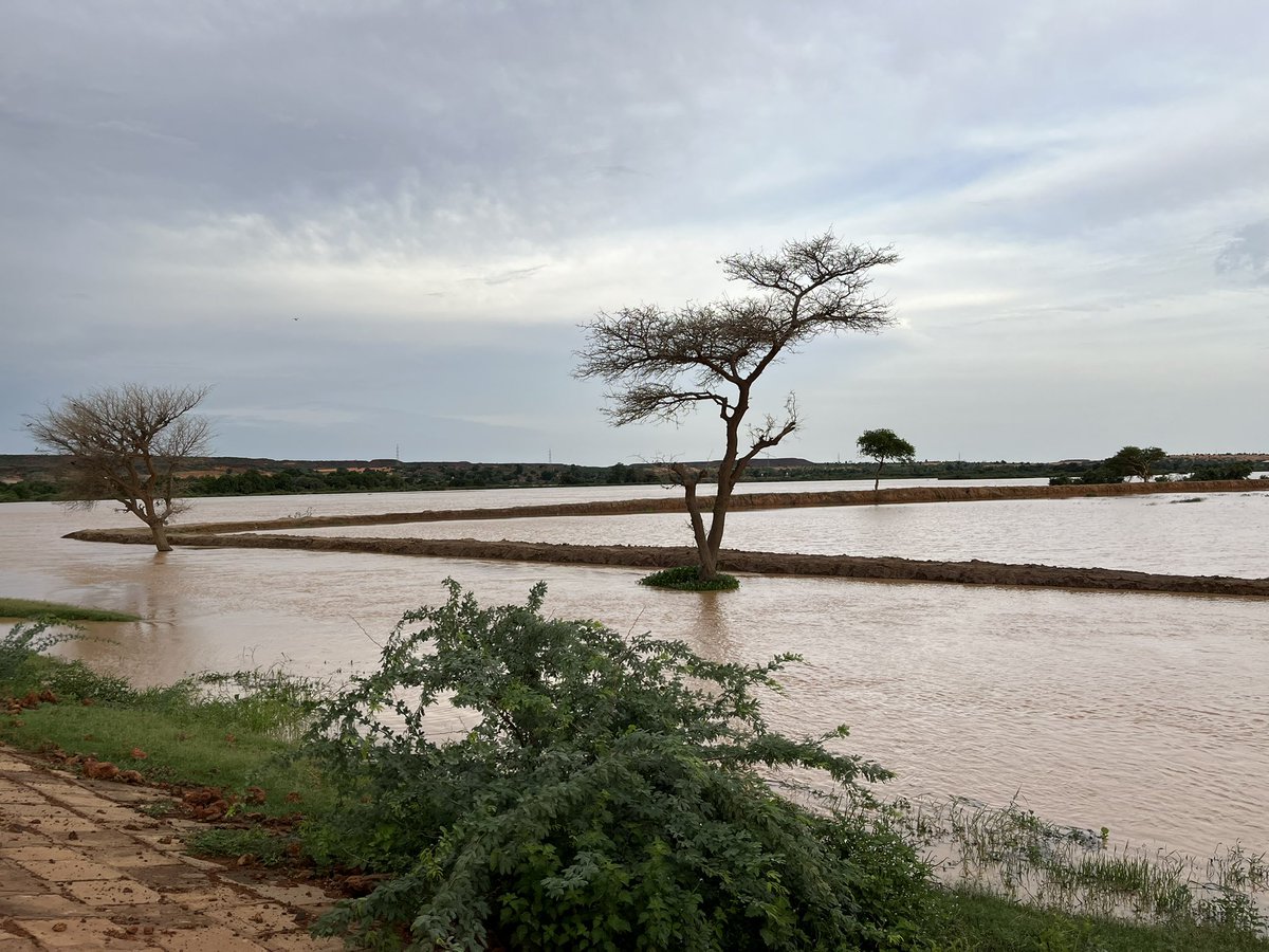 Promenade matinale au bord du grand Fleuve Niger en saison pluvieuse.