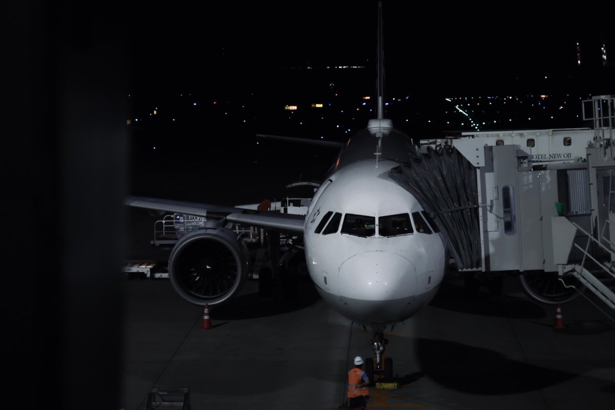 北の大地なう
(ANAのA321でした)