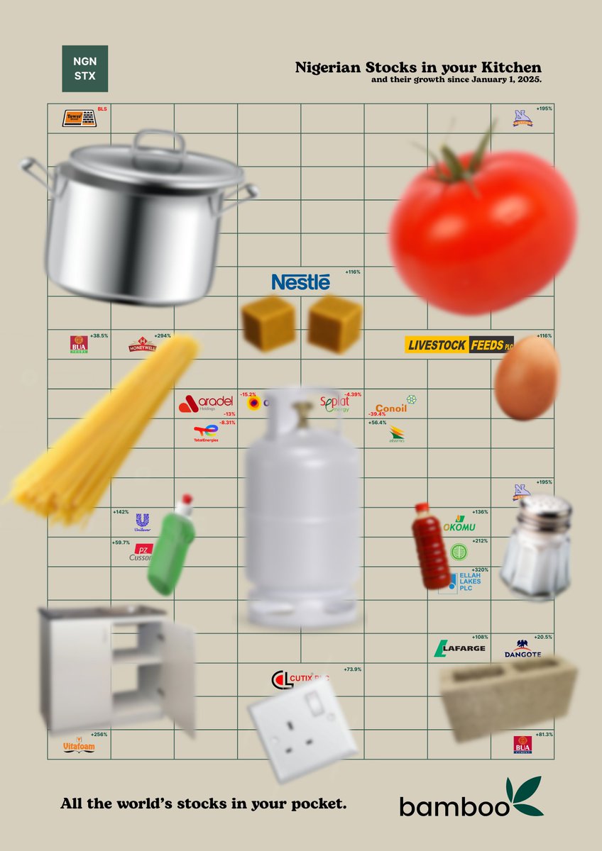 Nigerian Stocks in your Kitchen and their growth since January 1, 2025.