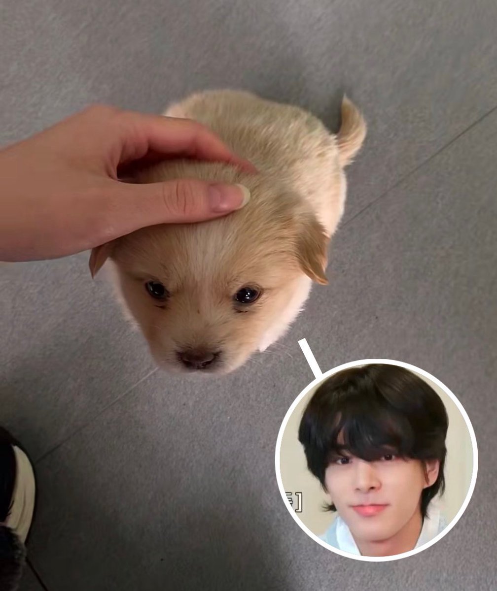 มิ๊บจีบ(slow) (@itsjakeday) on Twitter photo 