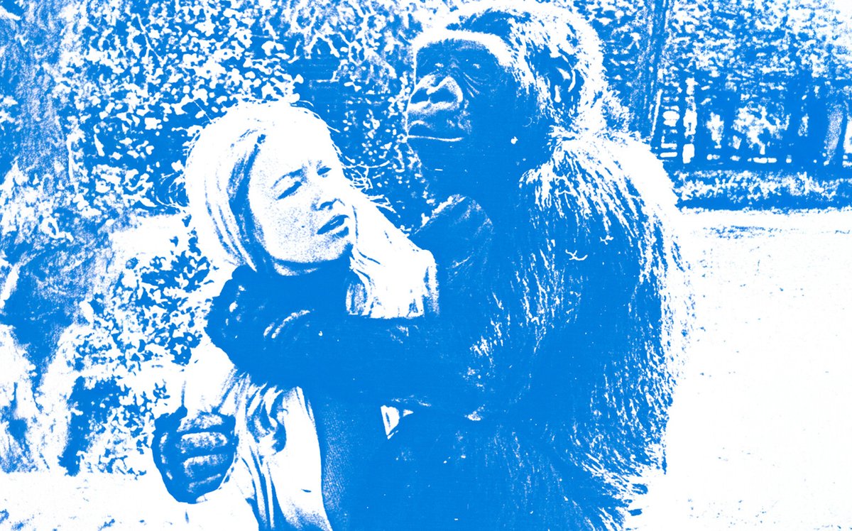 le_Parisien's tweet image. Elle comprenait 2 000 mots, maîtrisait 1 000 signes… Koko, le gorille qui parlait avec les hommes
➡️ l.leparisien.fr/Vp1l