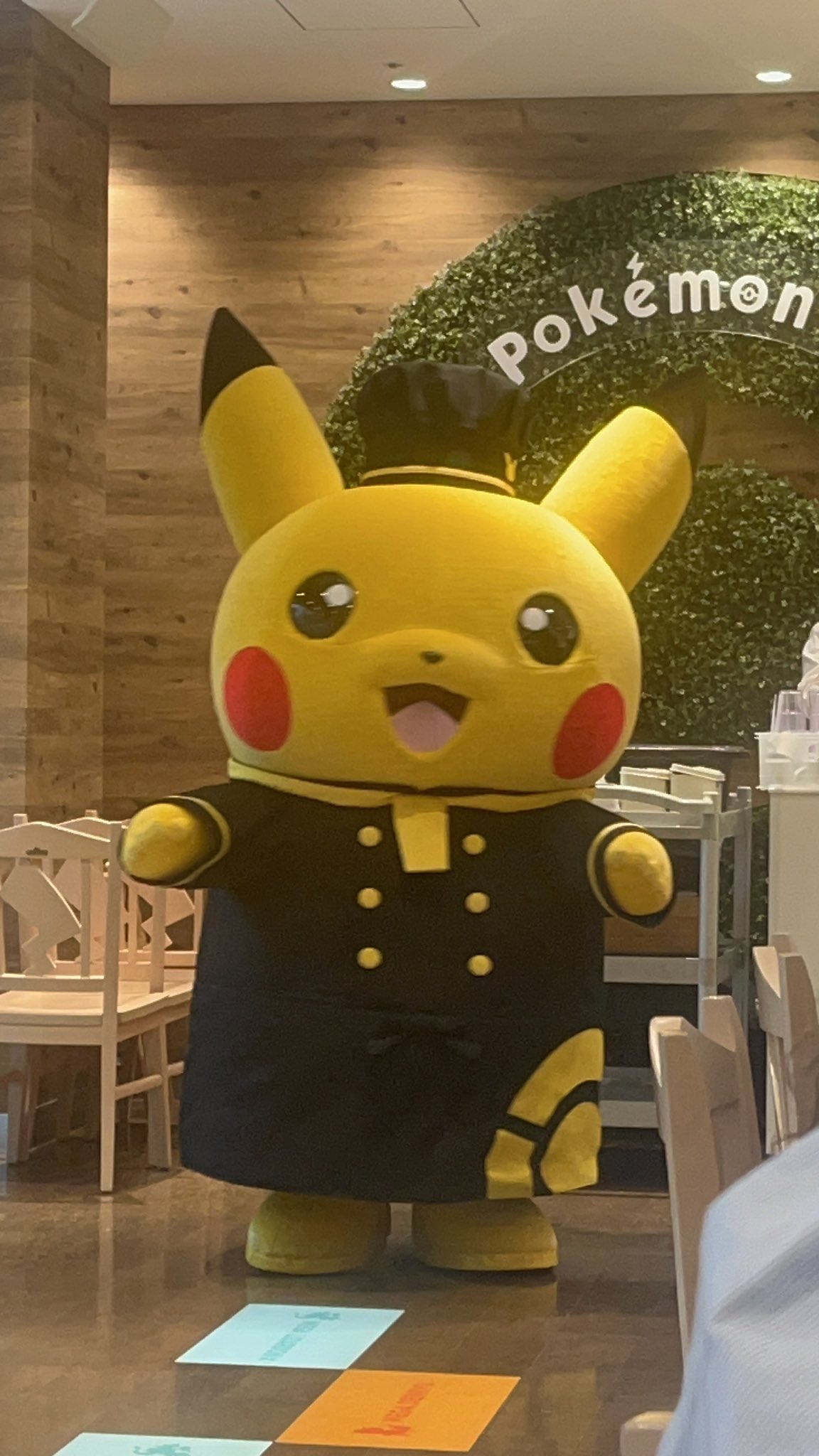 ✨希少・タグあり✨機能もりもり！マスコットピカちゅうず デデンネ ポケットモンスター もふぐっと つれてってぬいぐるみ～ #ピィ