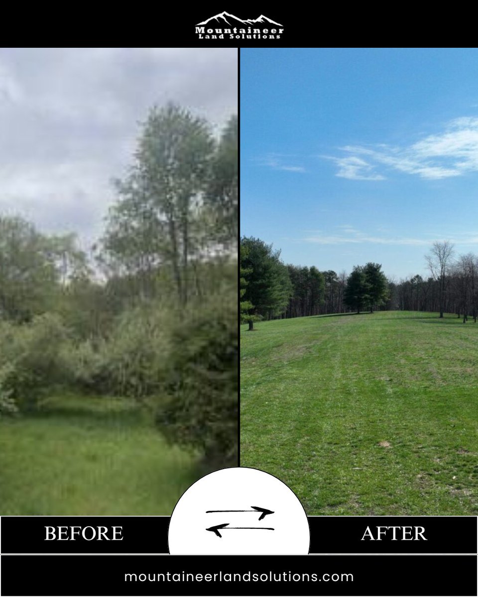 mountaineerland's tweet image. From wild to ready - this is your land reset in action.

We clear it, prep it, and give it purpose.

See the difference. Let’s get your property on track.

mountaineerlandsolutions.com

#mountaineerlandsolutions #landclearing #propertytransformation