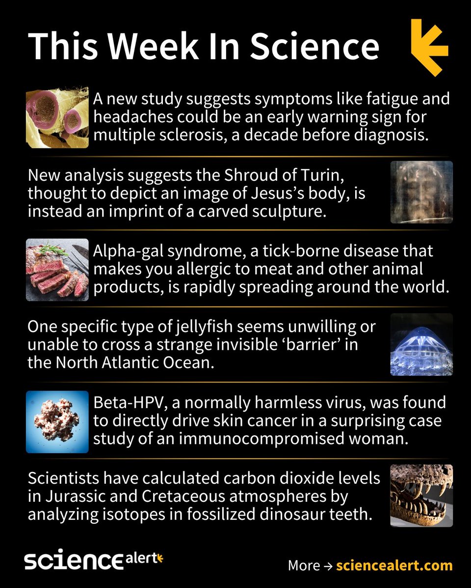 ScienceAlert's tweet image. This Week In Science (August 3-9)🧪

A Shroud of Turin surprise, sudden meat allergies, a cancer-causing virus, and much more!

#ScienceNews #ScienceAlert #STEM #ThisWeekInScience #TWIS