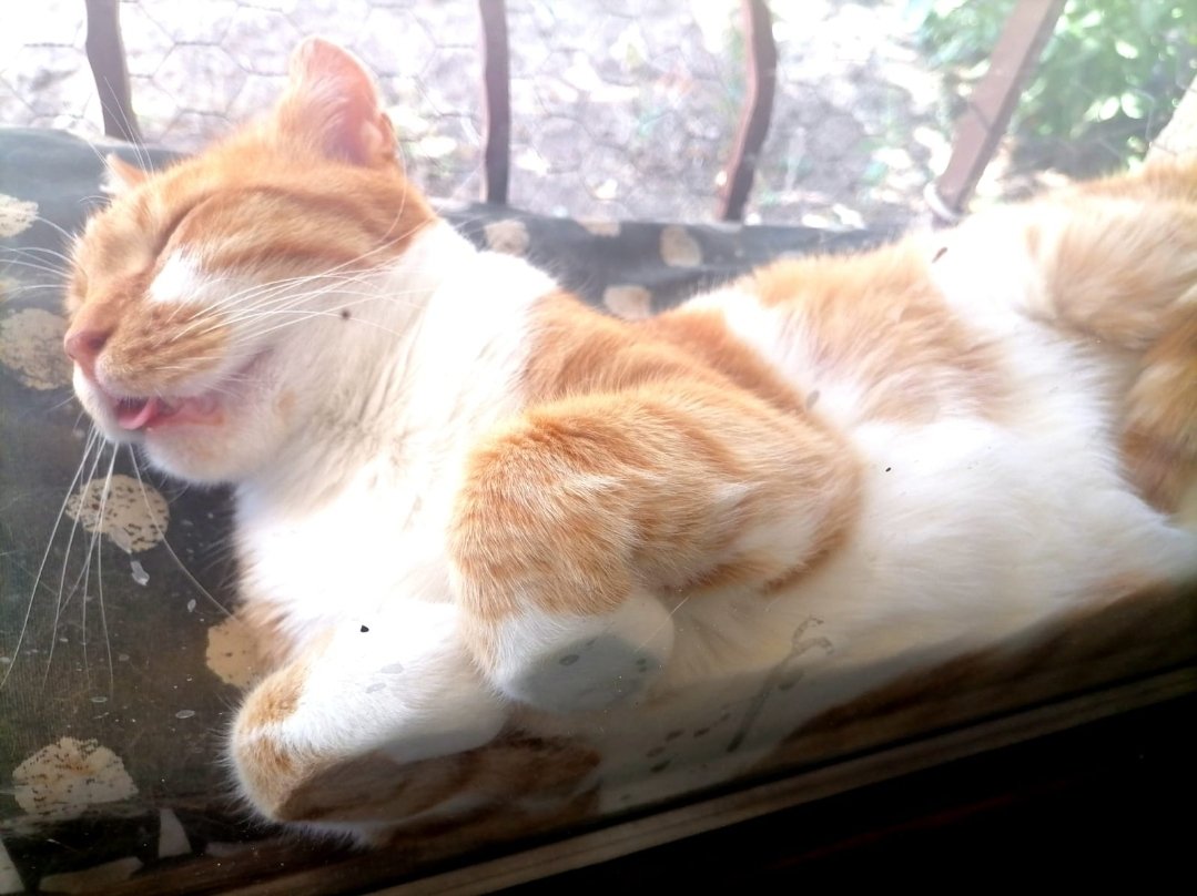 Bem biras deli uyurum ya