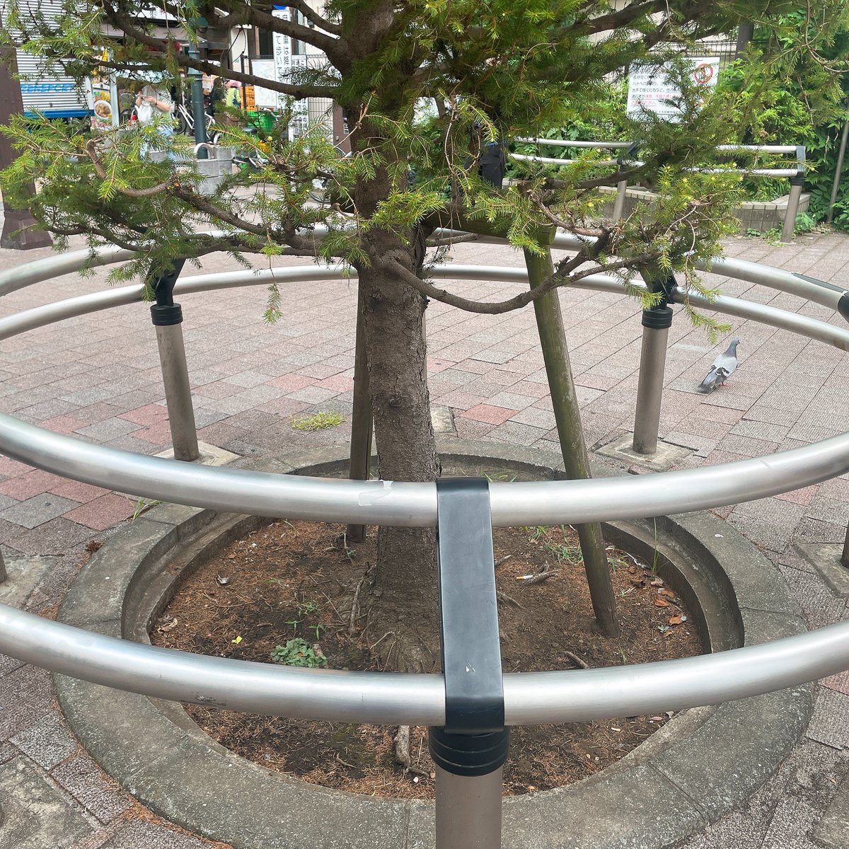 天鵞絨駅のモデルとして有名な中村橋駅です。真夜中の住人エピローグで泉に襲われたのは南口で、逃げた東さんが浩太に助けられたのは北口なのかなと思いながら歩いてきました。参考画像が夜なので見づらいけど何となく雰囲気あった✨
因みに丞が東さんを待ってた駅前のベンチは鉄の棒になってました。