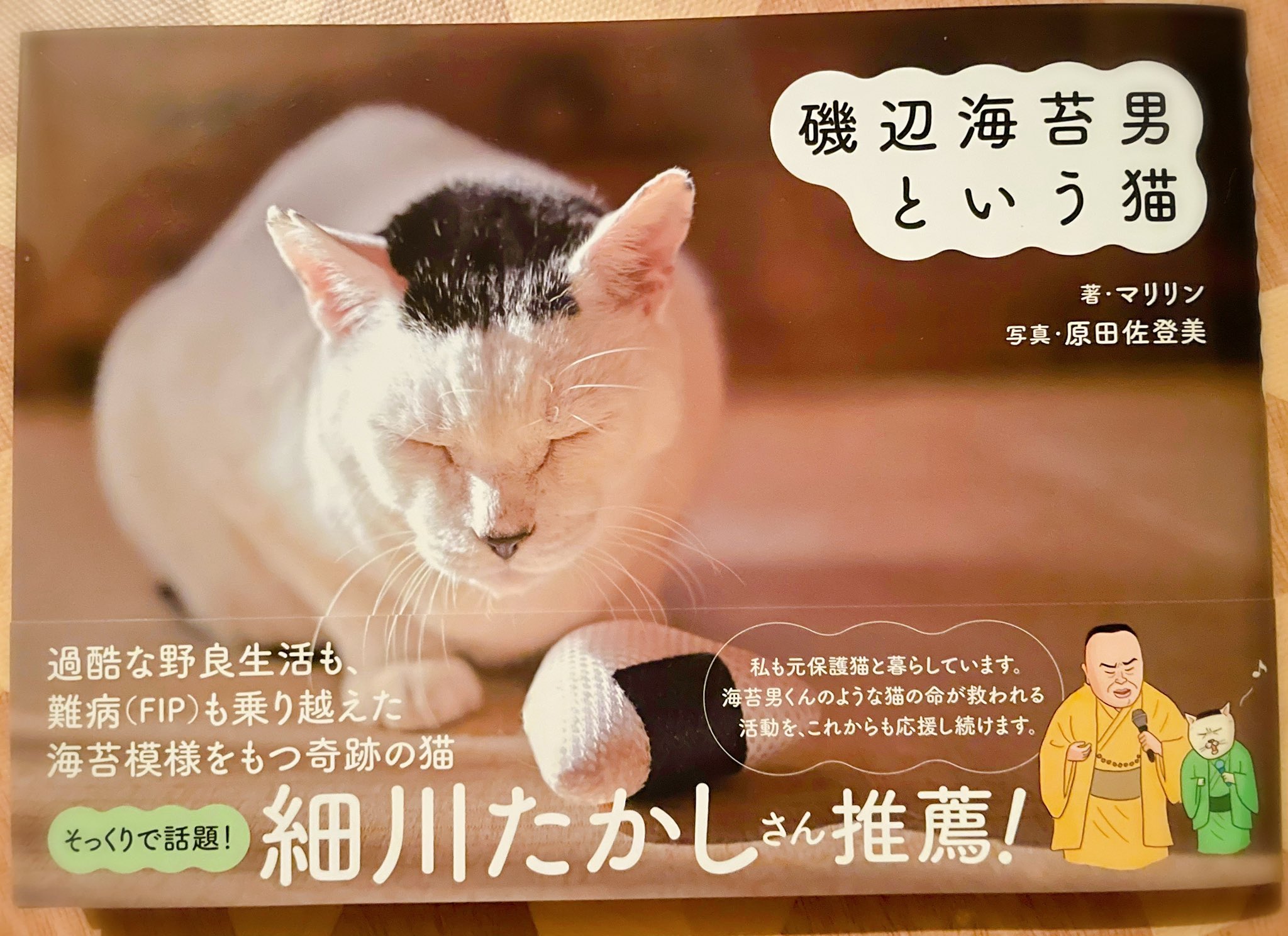 桜猫様確認ページ そらのうえ on X: 