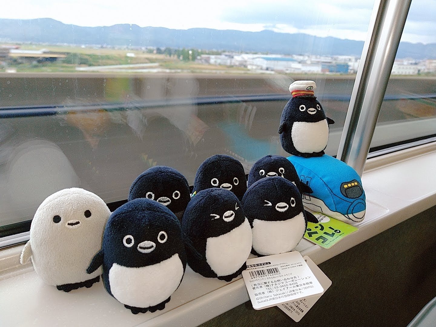 ペンギンぬいぐるみ 田舎のペンギン(2025)💫🐂💨🦅🐰 on X: 