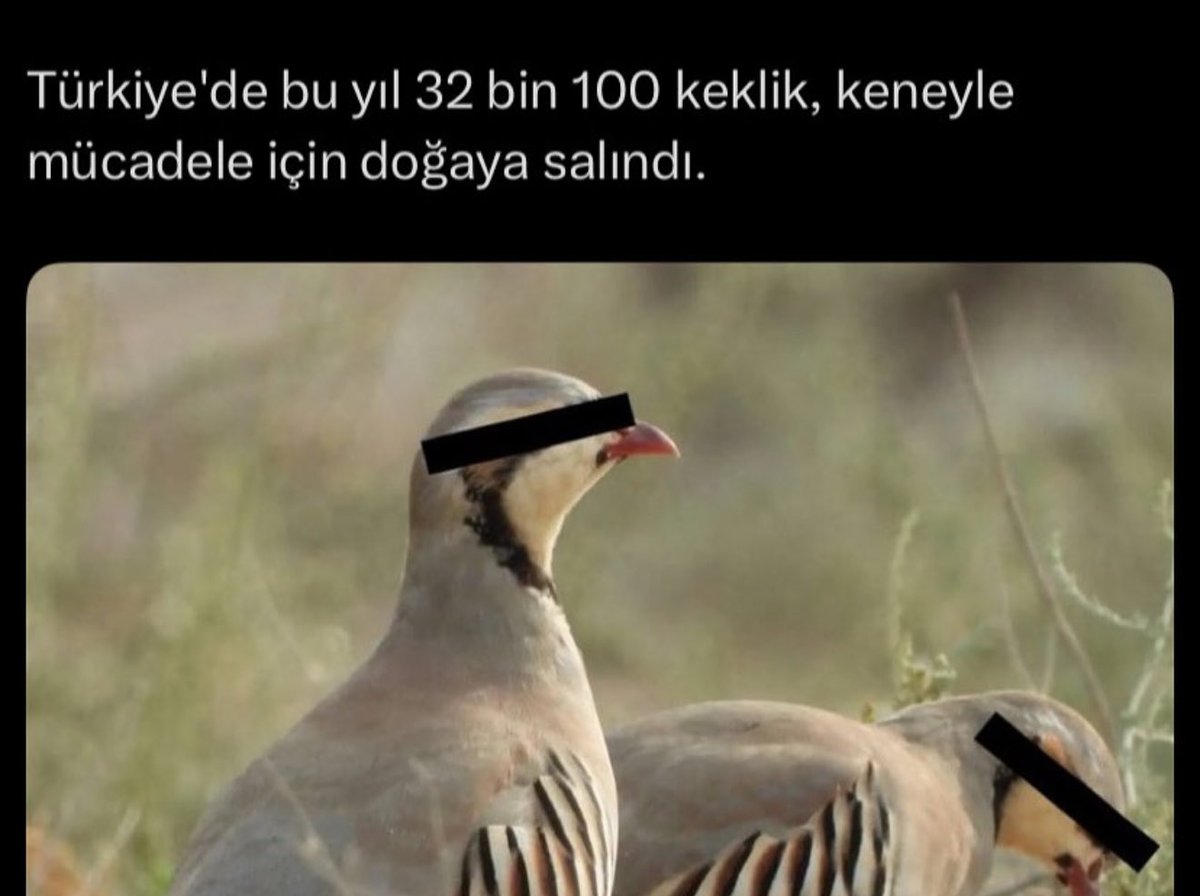 Bizim kvkk’yı abartma seviyemiz