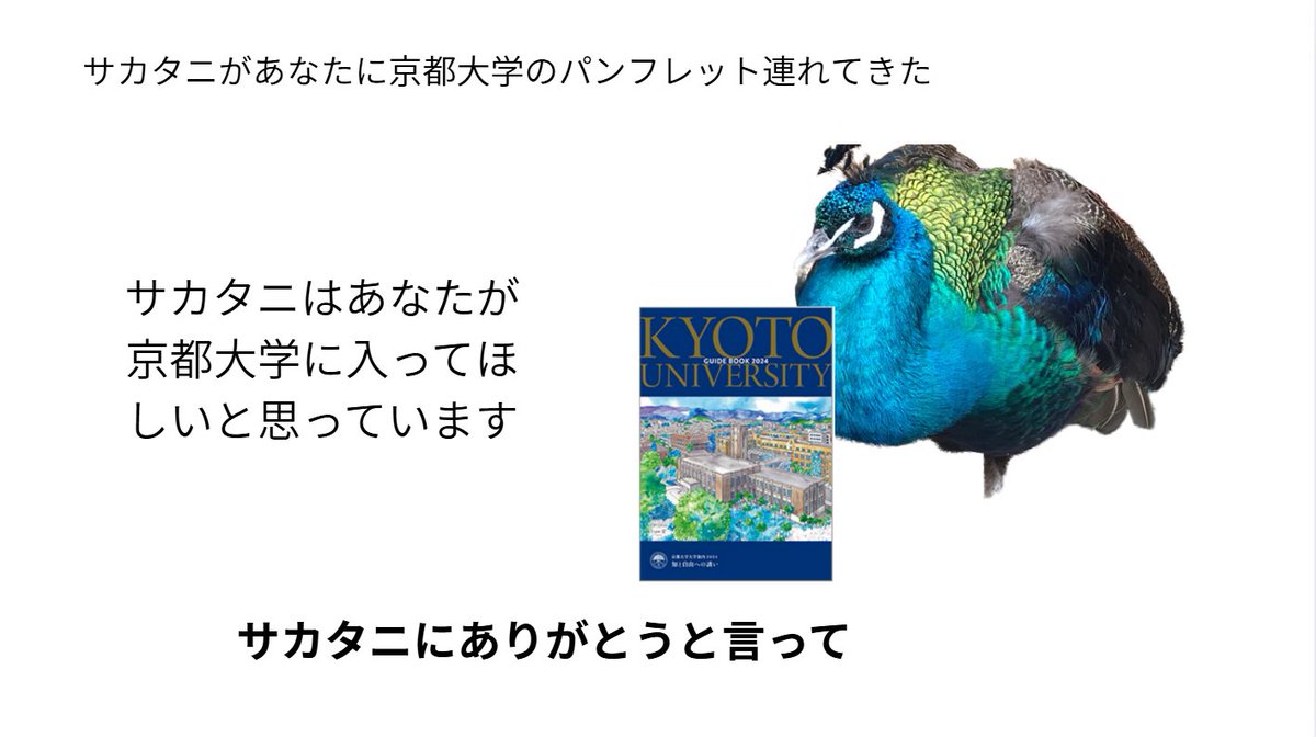 京都大学オープンキャンパス