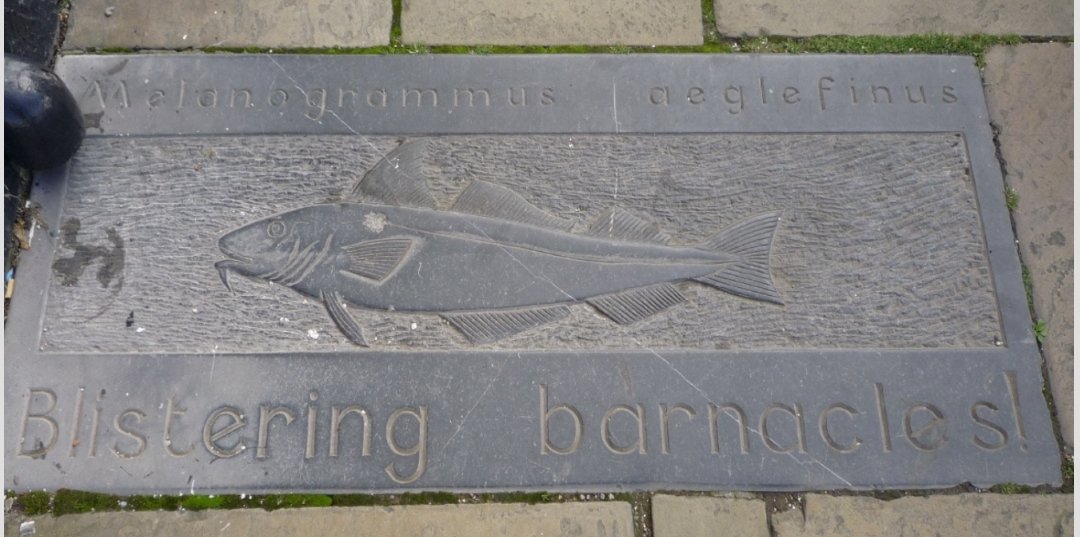 This Monday (11th) I'm putting on a Fish Trail guided walk. Always great fun for people of all ages. Meet up 10-30am Queen Victoria statue. Pay what you can. Certificates guaranteed! #MustBeHull #VisitHull