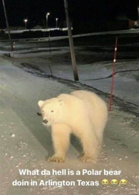 Eu quando GiuSaBanco na Lua Cheia: (roubei a foto do Domínio)