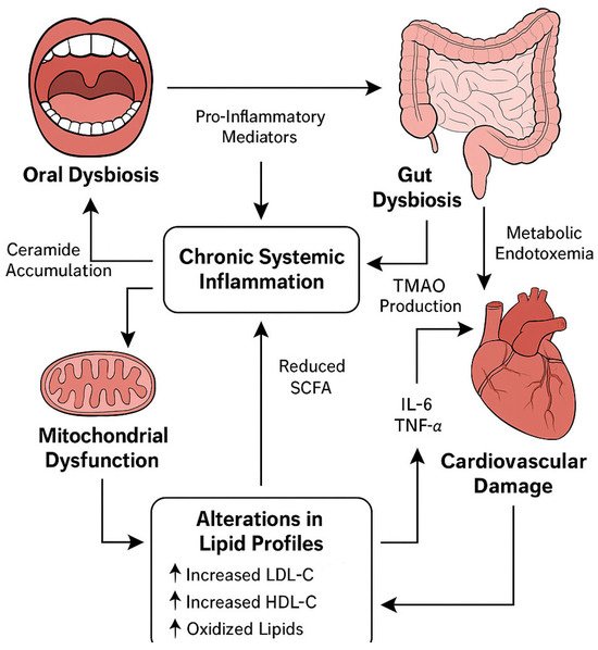 🔬 RicardoMontes tweet media