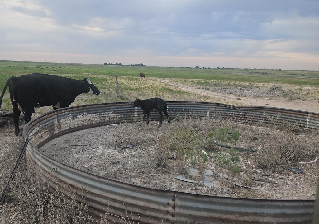 Not 24 hours old. Already doing dumb sh##