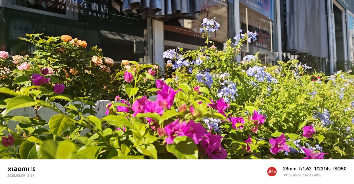 wittytree's tweet image. 和朋友在一家充满可爱猫咪的书店咖啡厅里见面，享受着闲聊和香浓的咖啡☕️🐱。这里的猫咪们真是太友好了，有的晒着温暖的阳光☀️，有的则在书架间慢悠悠地走动，有的慵懒地趴在书架上，有的在跟小孩子顾客玩，仿佛给书店增添更多的生气✨。度过了超治愈时光。一边喝着香醇的拿铁☕️，一边分享读到的好书📚